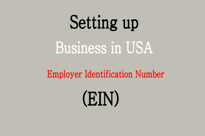 Setting up Business in USA